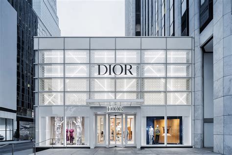 dior online shop shop